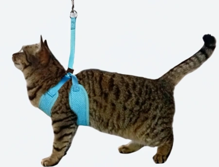 Шлейка с поводком EV-66 сетка однотонная цветная 1см*1шт