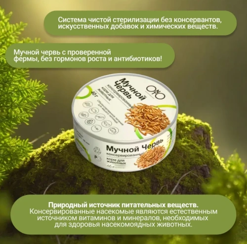 ONTO Мучной червь консервированный 40гр
