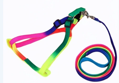 Шлейка с поводком EV-67 Радуга 1см*1шт