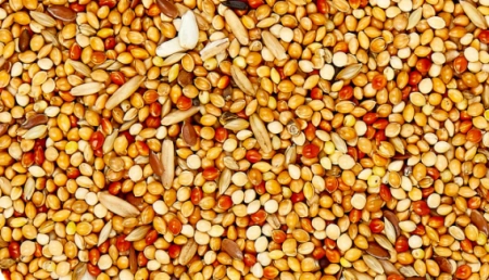 Petlunch корм ведро для волнистых попугаев 1000мл