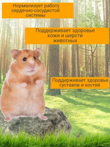 Smile King премиум корм для хомяков 600гр 