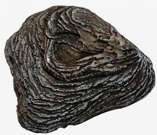 99042 Грот для аквариума плот круглый 18*15*5см