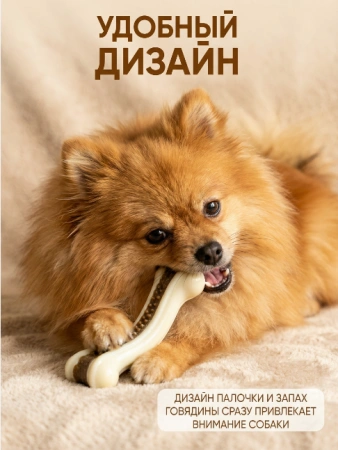 3044 Игрушка для собак кость EFS201 DENTAL 16см р-р L