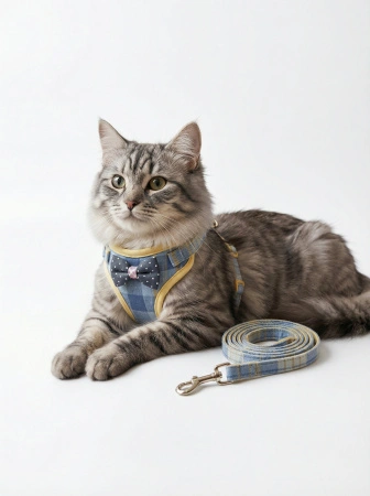 Шлейка с поводком EV-335 "Cat" клетка с бантом блистер 1см*1шт