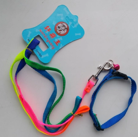 Ошейник EV-012 радуга с поводком 1см*1шт.