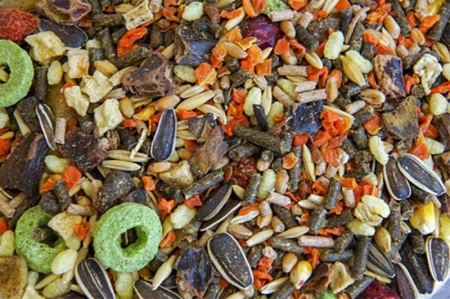 Petlunch корм ведро д/морских свинок 1000мл