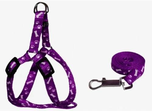 Шлейка с поводком "Эконом" 1,5см*1шт