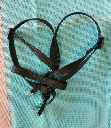 Шлейка с поводком EV-61 однотонная цветная 1см*1шт