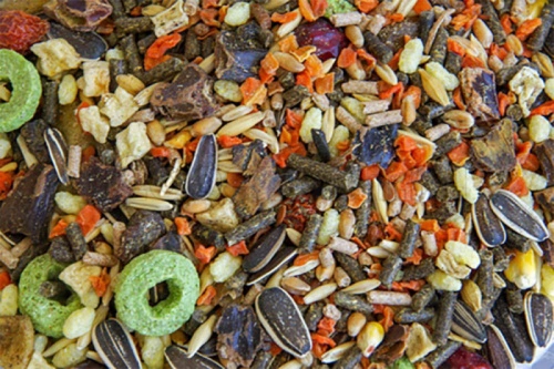 Petlunch корм ведро д/морских свинок 1000мл