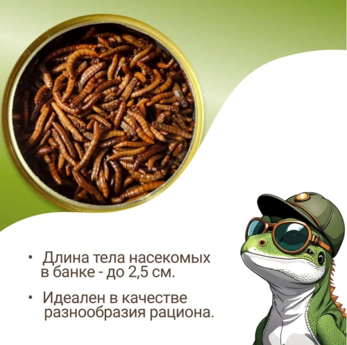 ONTO Мучной червь консервированный 40гр
