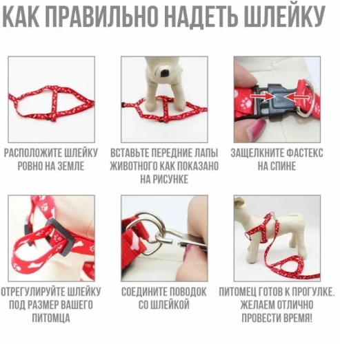 Шлейка с поводком "Эконом" 1,5см*1шт