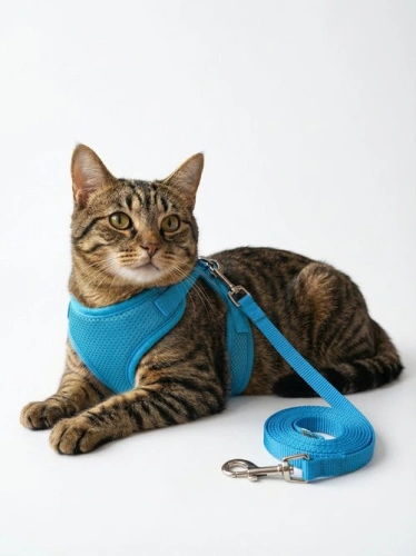 Шлейка с поводком EV-66 сетка однотонная цветная 1см*1шт