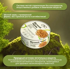 ONTO Мучной червь консервированный 40гр