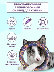 3041 Игрушка для собак кольцо 18см