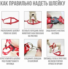 Шлейка с поводком "Эконом" 1,0см.*1шт