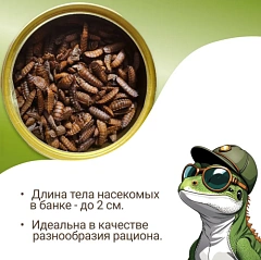 ONTO Чёрная львинка консервированный 40гр